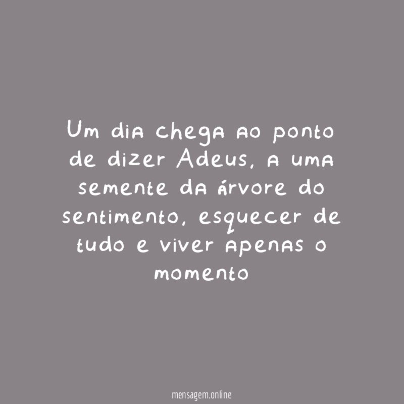 Um dia chega ao ponto de dizer Adeus