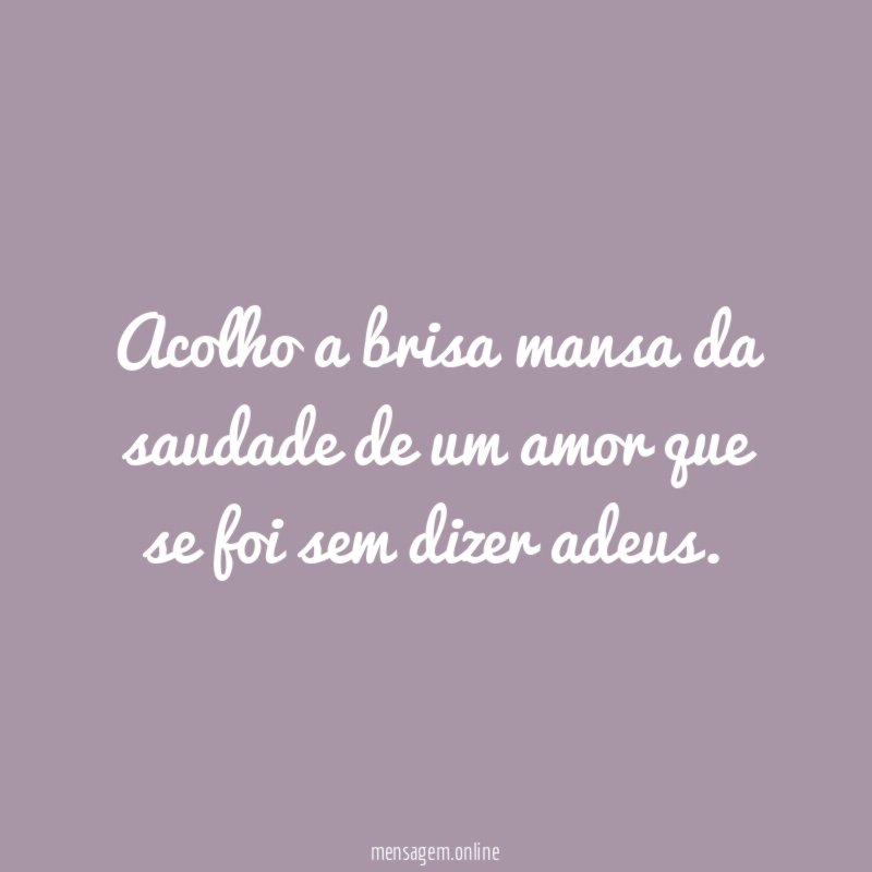 Acolho a brisa mansa da saudade de um