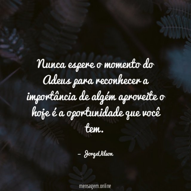 Nunca espere o momento do Adeus para reconhecer
