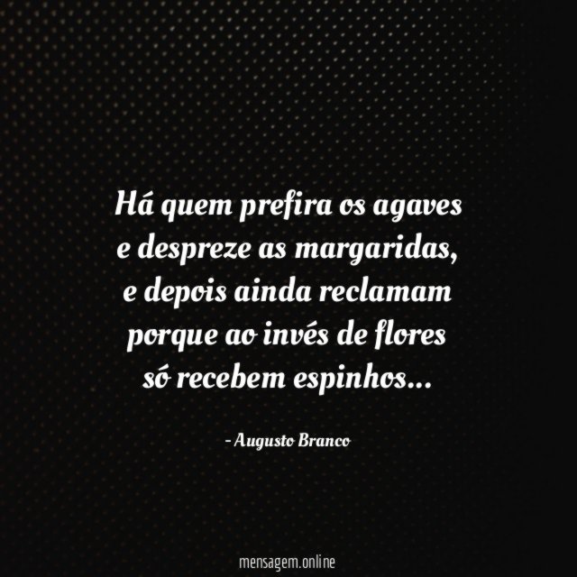 Há quem prefira os agaves e despreze as margaridas