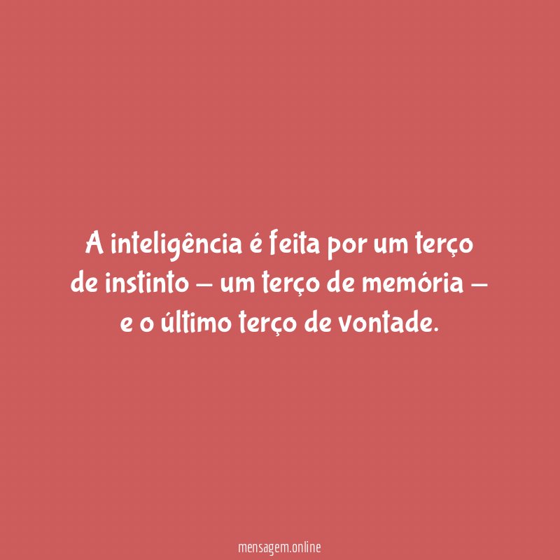 A inteligência é feita por um terço de