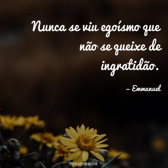 Nunca se viu egoísmo que não se queixe