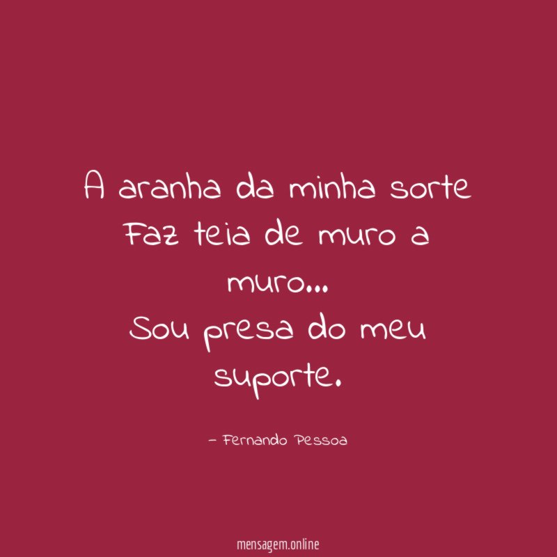 A aranha da minha sorte Faz teia de muro a muro