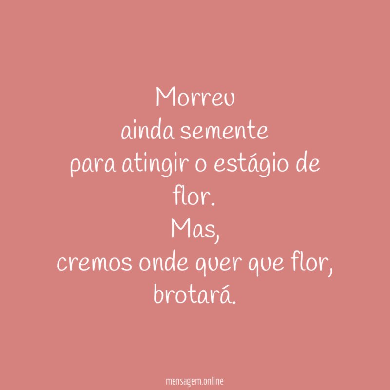 Morreu ainda semente para atingir o estágio de flor