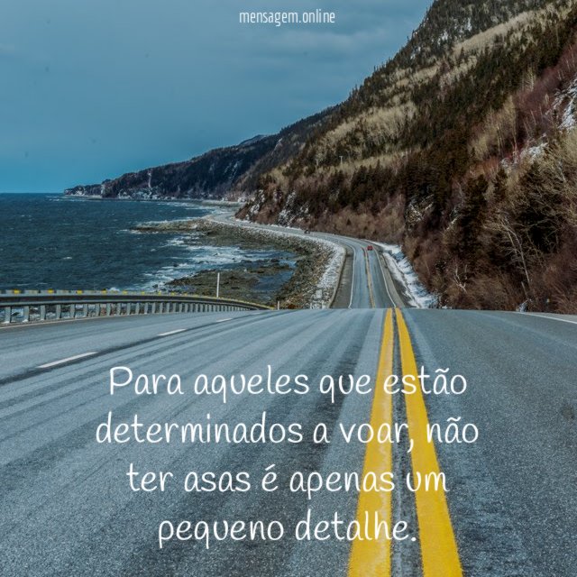 Para aqueles que estão determinados a voar