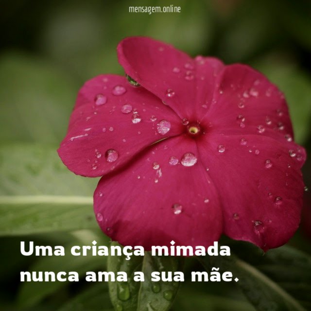 Uma criança mimada nunca ama a sua mãe