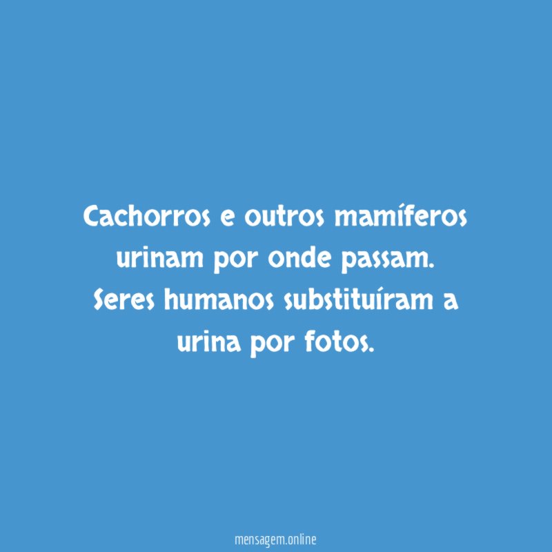 Cachorros e outros mamíferos urinam por onde passam