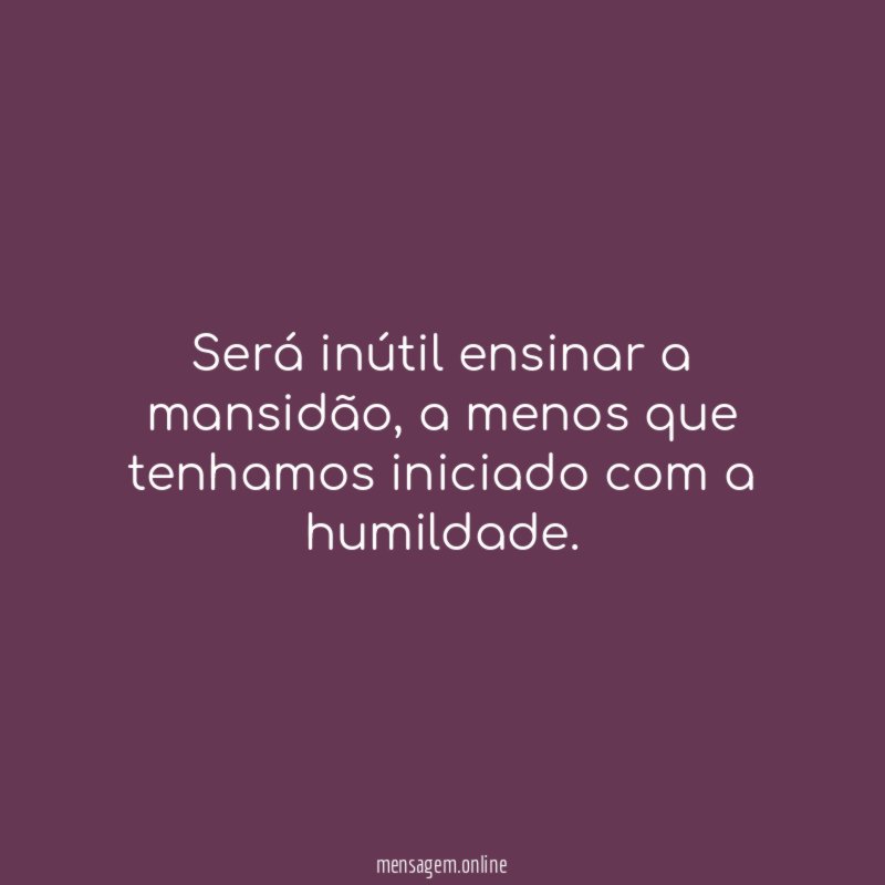 Será inútil ensinar a mansidão