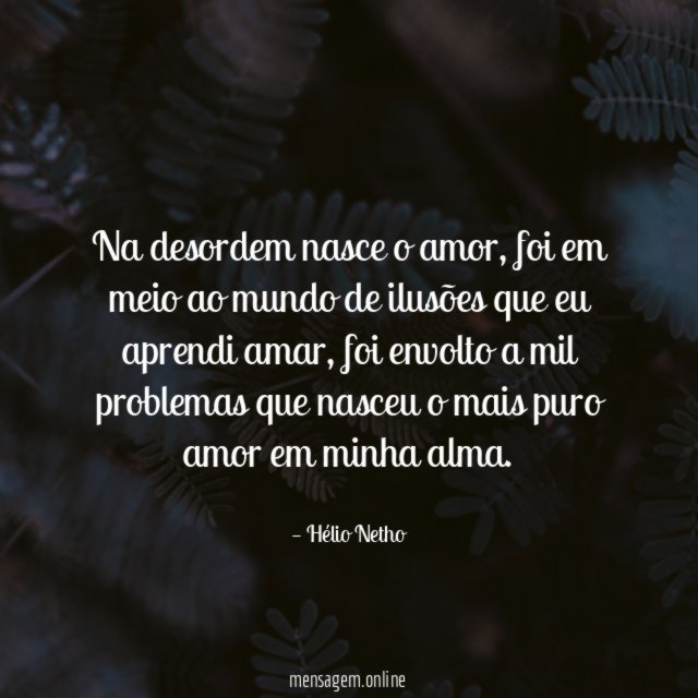 Na desordem nasce o amor