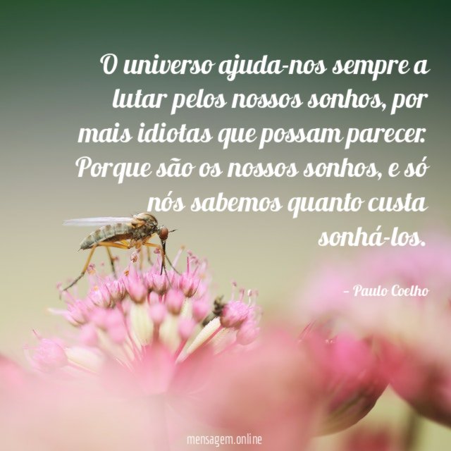 O universo ajuda-nos sempre a lutar pelos nossos sonhos