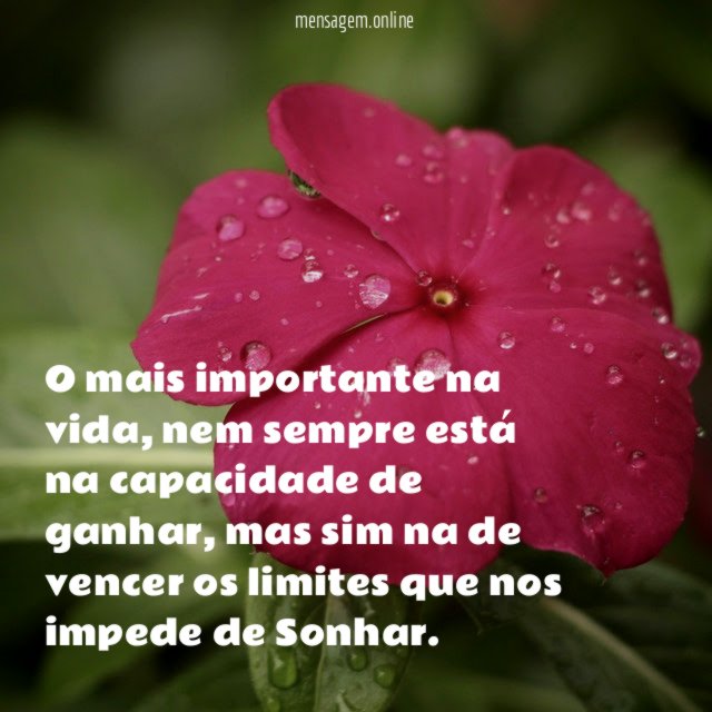 O mais importante na vida