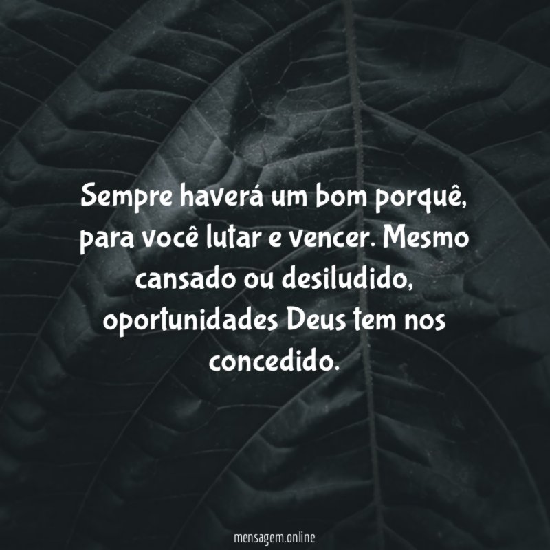 Sempre haverá um bom porquê