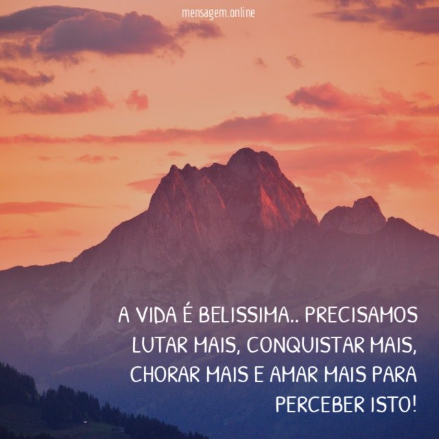 A vida é belissima
