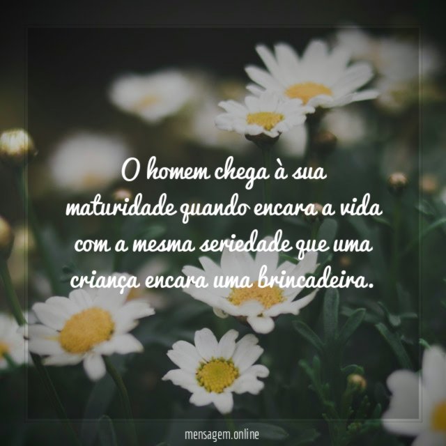 O homem chega à sua maturidade quando encara
