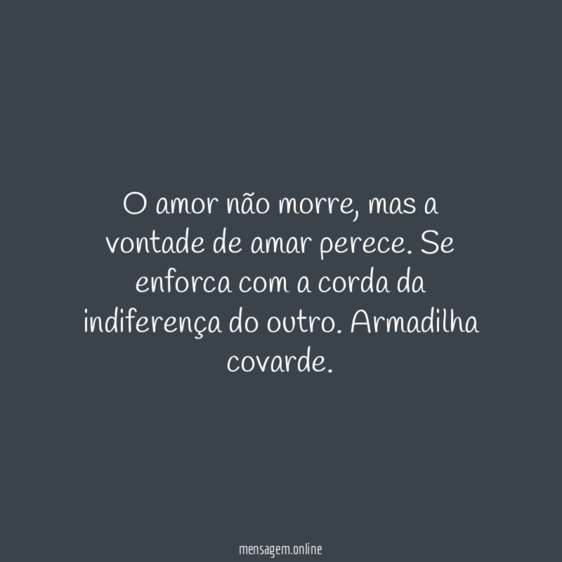 O amor não morre