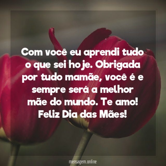 Com você eu aprendi tudo o que sei hoje