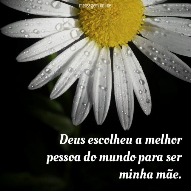 Deus escolheu a melhor pessoa do mundo para ser minha mãe