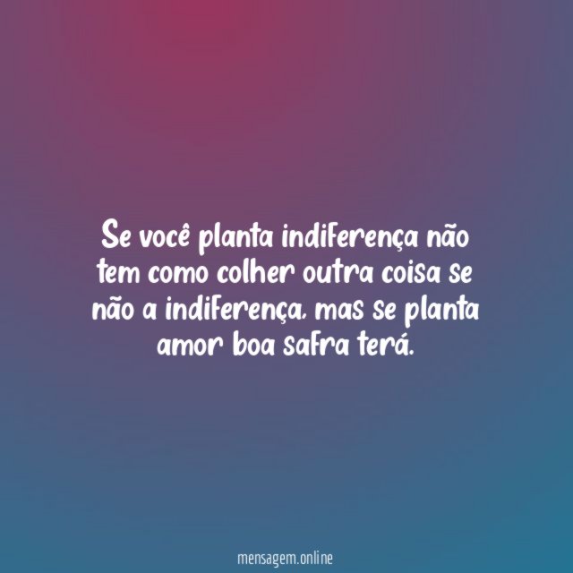 Se você planta indiferença não tem como colher