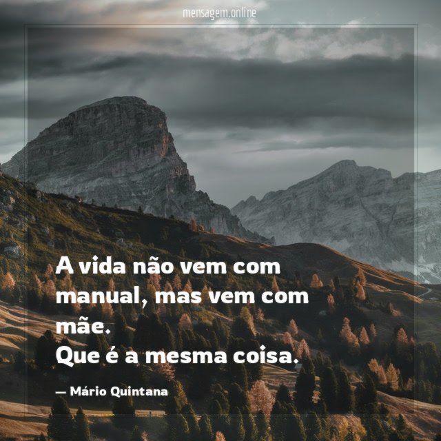 A vida não vem com manual