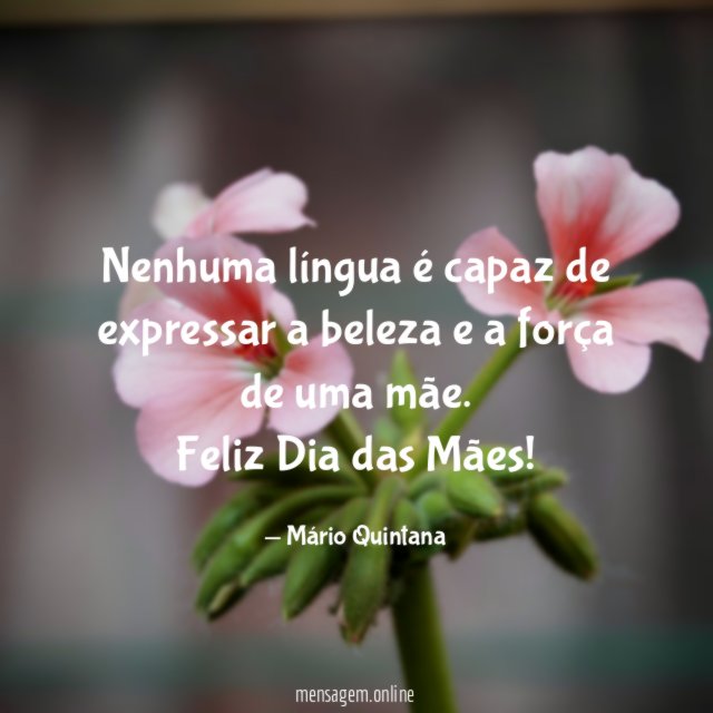 Nenhuma língua é capaz de expressar a beleza