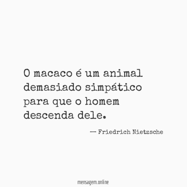 O macaco é um animal demasiado simpático para