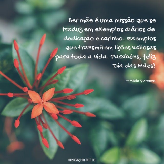 Ser mãe é uma missão que se traduz