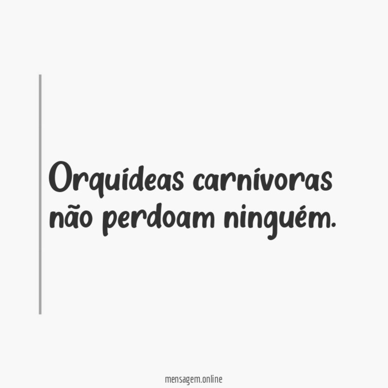 Orquídeas carnívoras não perdoam ninguém