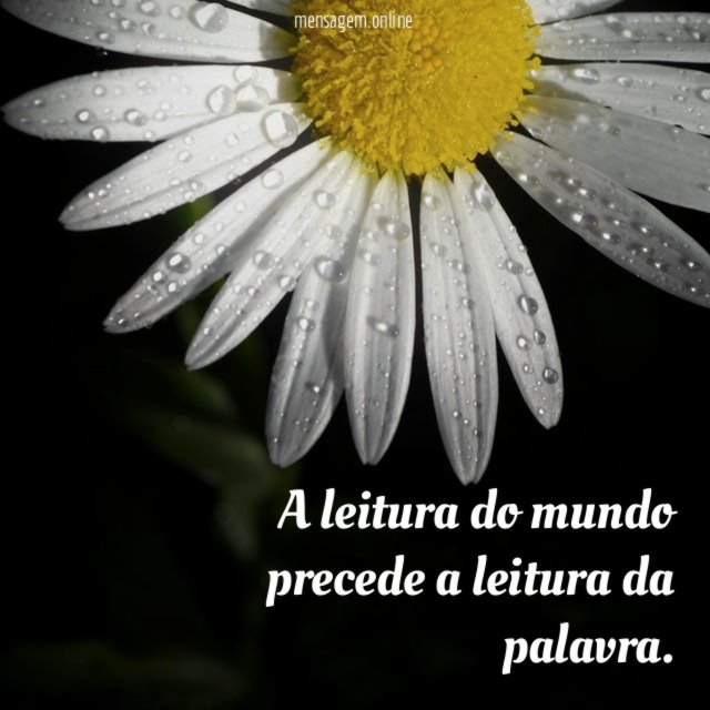 A leitura do mundo precede a leitura da palavra