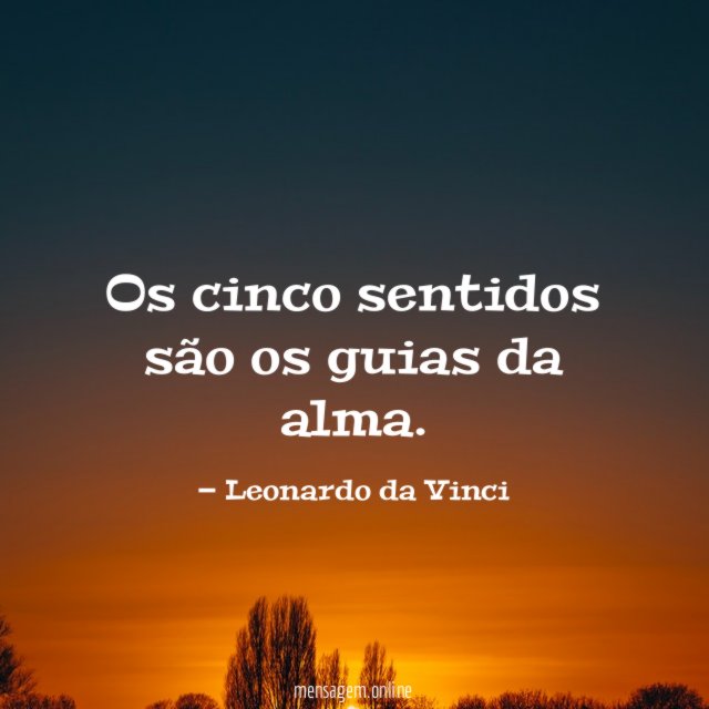 Os cinco sentidos são os guias da alma