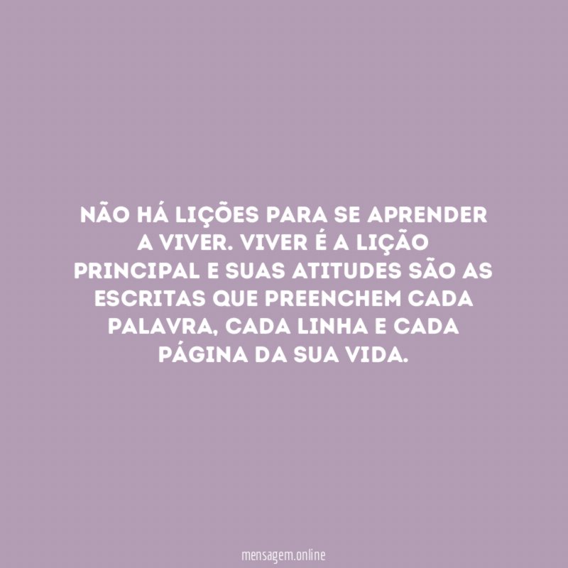 Não há lições para se aprender a viver