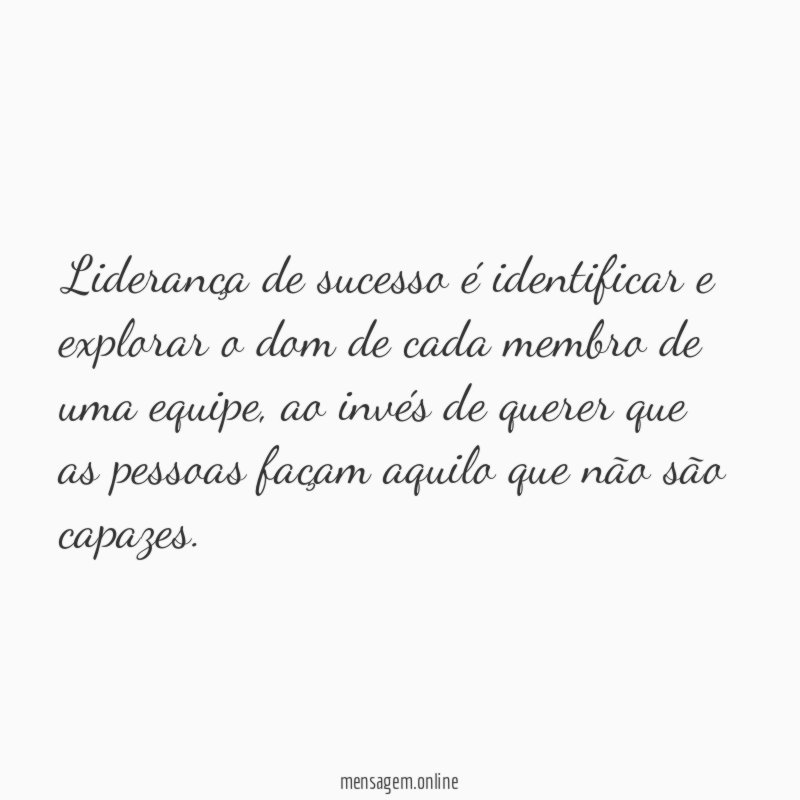 Liderança de sucesso é identificar e explorar