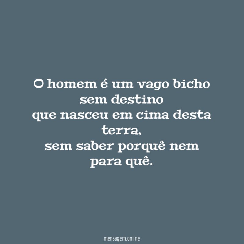 O homem é um vago bicho sem destino que