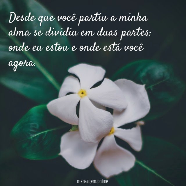 Desde que você partiu a minha alma se dividiu em duas partes
