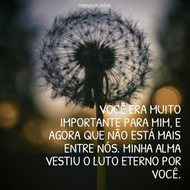 Você era muito importante para mim