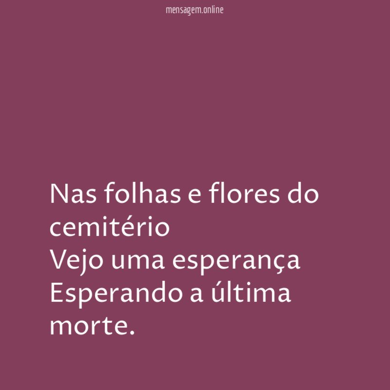 Nas folhas e flores do cemitério Vejo uma esperança Esperando