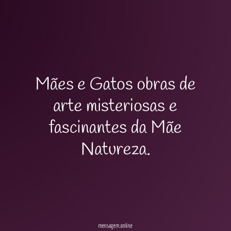 Mães e Gatos obras de arte misteriosas