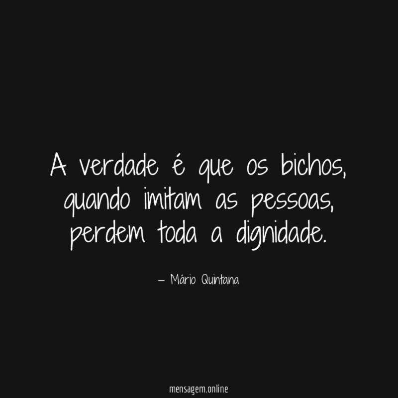 A verdade é que os bichos