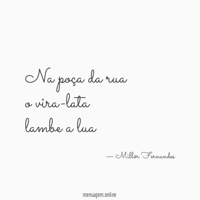 Na poça da rua o vira-lata lambe a lua