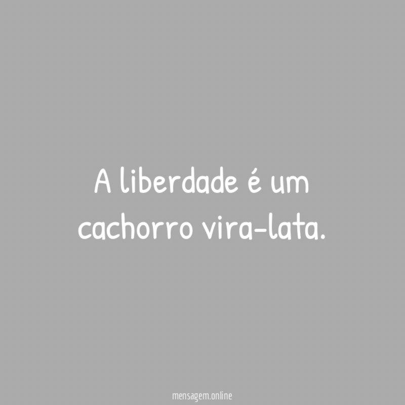 A liberdade é um cachorro vira-lata