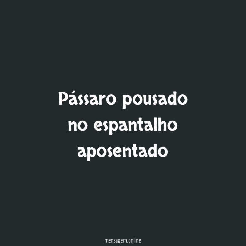 pássaro pousado no espantalho aposentado