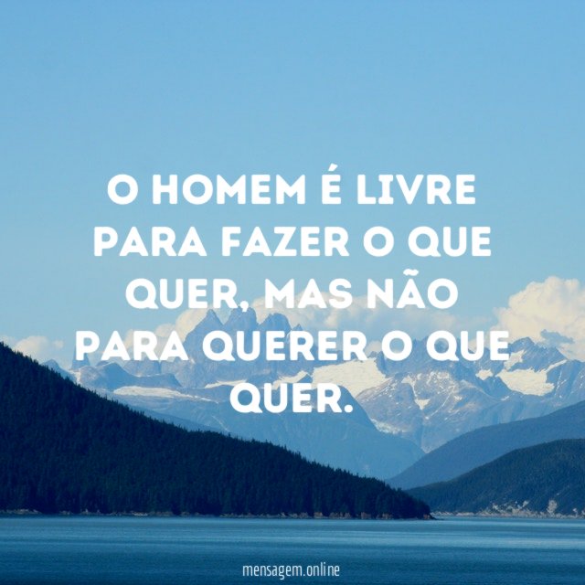 O Homem é livre para fazer o que quer