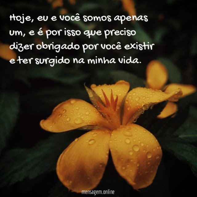 Nossas vidas se cruzaram de repente
