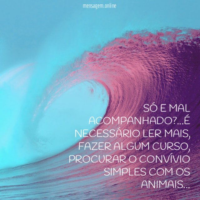 SÓ E MAL ACOMPANHADO