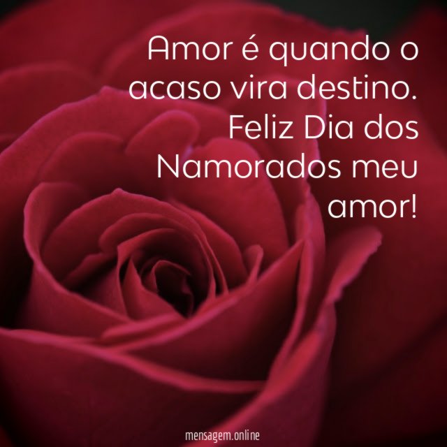 Amor é quando o acaso vira destino