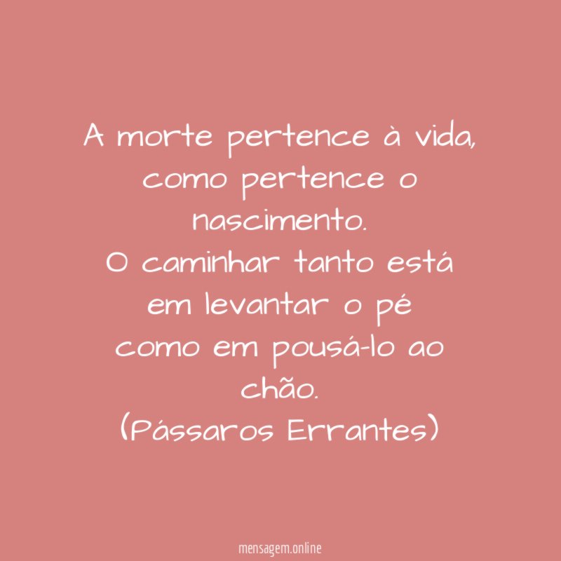A morte pertence à vida