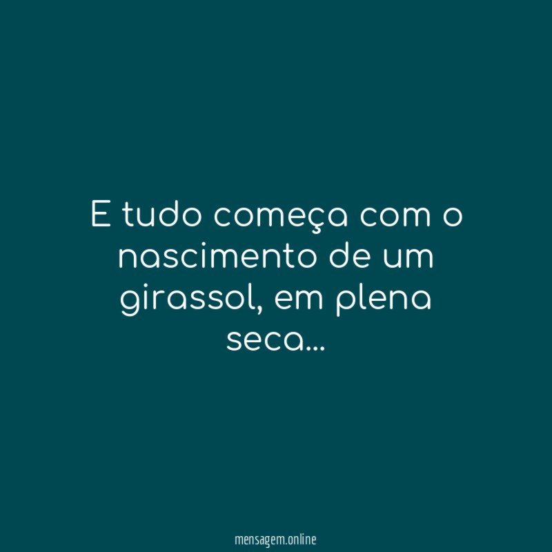 E tudo começa com o nascimento de um girassol