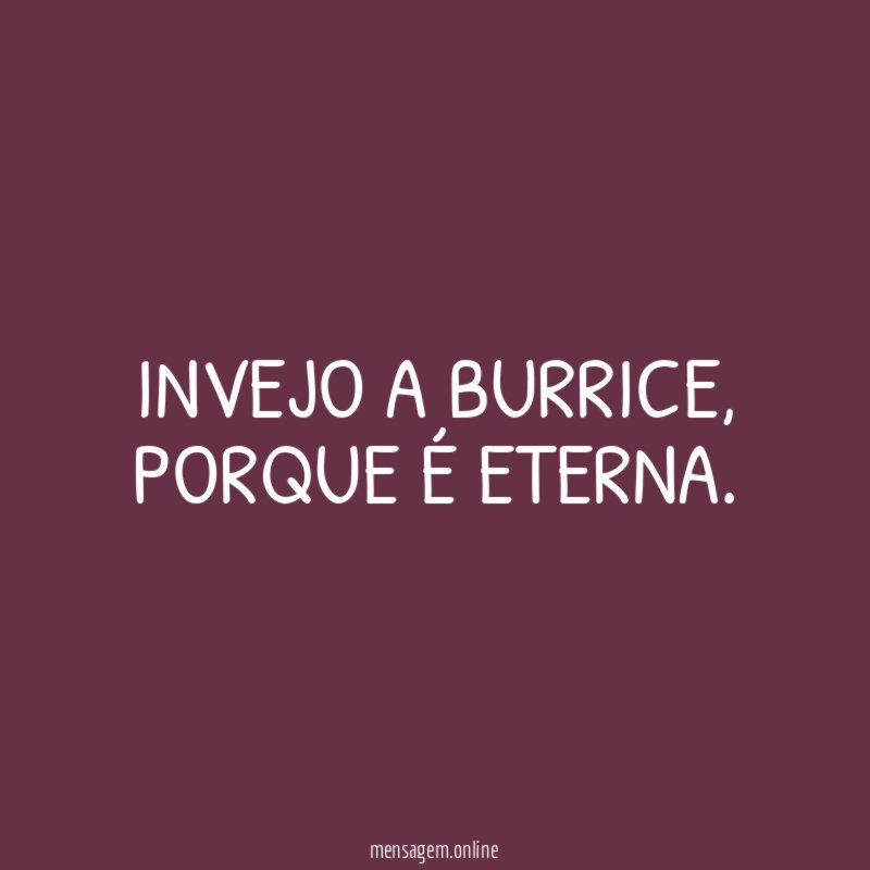 Invejo a burrice
