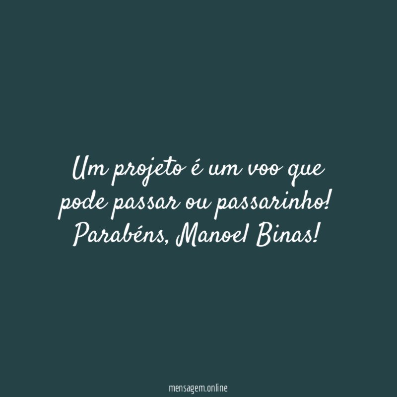Um projeto é um voo que pode passar ou passarinho