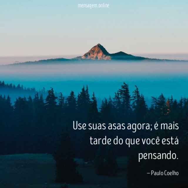 Use suas asas agora