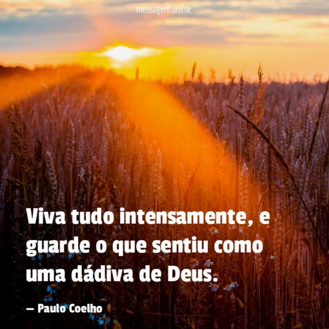 Viva tudo intensamente